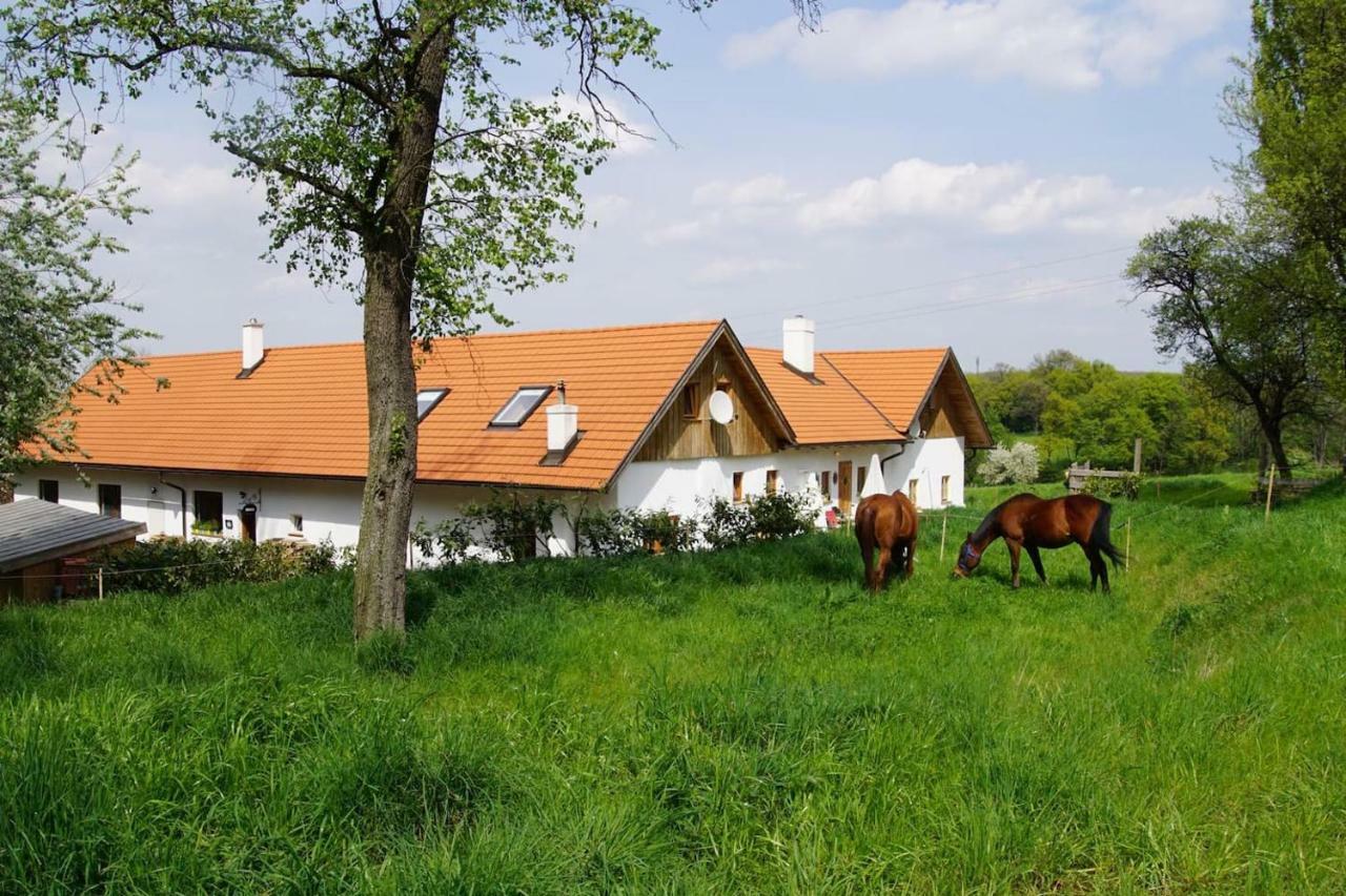 Wundervoll Eben - Chalets & Plaetze Voller Wunder - Notschkerl & Feinis Waasen Екстер'єр фото